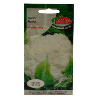 Nasiona Kalafior Pionier 1g